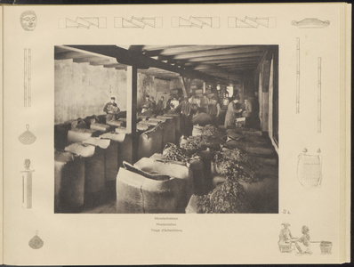 5100 -0082 Monsters tabak worden getrokken in de tabakspakhuizen van de firma A. van Hoboken & Co, 1905 - 1909