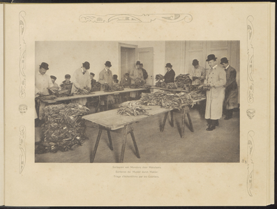 5100 -0083 Tabaksmakelaars sorteren monsters tabak, 1900 - 1909