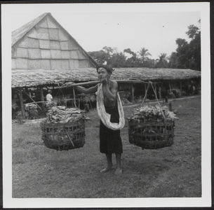 5111 -0004 Een Indonesische werknemer draagt een juk met twee manden met tabak. Op de achtergrond een droogschuur