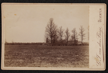 387 Twee boerderijen (de Elshof?) met hooiberg en weiland., 1890-01-01