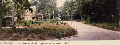 22169 Dennenhoek.De Driehoek is Dennenhoek geworden.Panoramafoto., 1981-06-01
