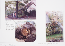 22307 Aanleg riolering.Tijdens een hevige rukwind viel een boom op de woning.Overzichtsfoto., 1981-10-20