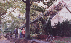 22307 a Aanleg riolering.Tijdens een hevige rukwind viel een boom op de woning., 1981-10-20