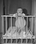 336 Baby in de box: Arnold Roozenbeek, zoon van Willem Roozenbeek., 1900-01-01