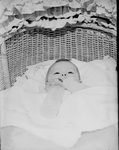 344 Baby in de wieg met fles: Arnold Roozenbeek, zoon van Willem Roozenbeek., 1900-01-01