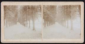 70 [D 18 no.2] Kapjeswelle Deventer. Stereokaart met bruine rand, 1901-08-19