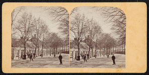 79 [1358] Noorderplein De zoogenaamde Goedenegen thans Noorderplein . Stereokaart op geel karton, 1880-01-01