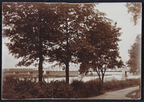 110 Kapjeswelle Deventer met zicht op spoorbrug. Procedé: daglicht gelatine zilverdruk, 1921-01-01