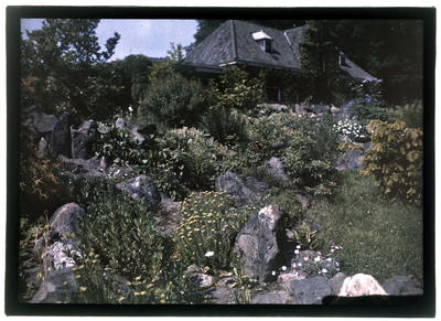 64 Glaspositief in kleur (autochrome): bloemen in een tuin met huis op de achtergrond, 1920-06-20