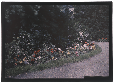 65 Glaspositief in kleur (autochrome): bloemenborder aan een pad, met huis op de achtergrond, 1920-06-20