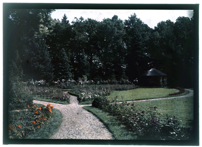 71 Glaspositief in kleur (autochrome): rozentuin met prieel op achtergrond, 1920-06-20