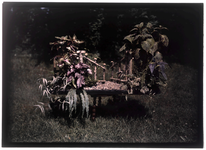 75 Glaspositief in kleur (autochrome): bloembak met rotstuintje, 1920-06-20