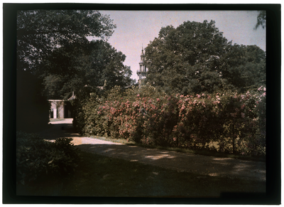 76 Glaspositief in kleur (autochrome): haag met bloemen langs een pad. Op de achtergrond een torentje, 1920-06-20
