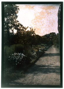 78 Glaspositief in kleur (autochrome): bloemenborder met pad, 1920-06-20