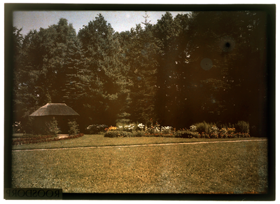 80 Glaspositief in kleur (autochrome): tuin met grasveld en bloemenborder, hoge bomen op de achtergrond, 1920-06-20