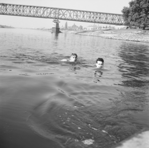 3832 Kapjeswelle. Zwemmers in de IJssel., 1960-01-01