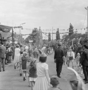 4283 Molenwijk. Pinksterkroon aan de Middelweg. Rechts de spoorlijn Deventer Olst., 1960-01-01