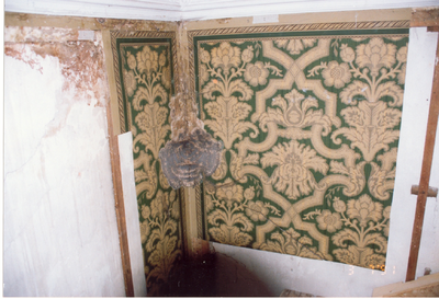 1117 Detail b.g. achterkamer. Behang uit de 19e eeuw. Huiszwam (?) in de hoek., 01-01-1991 - 31-12-1991