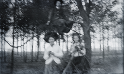 184 Groepsportret van drie meisjes in een bos, waarvan er een op een boomtak zit. Opname bewogen, 1910-01-01