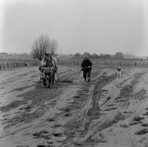 1079 Boer met paard en ploeg, gevolgd door een hond. Lokatie onbekend., 1961-01-01