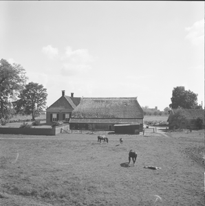 1684 Onbekend. Boerderij met paarden in de wei., 1960-01-01