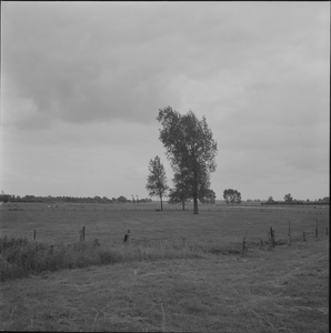 1761 Onbekend., 1960-01-01