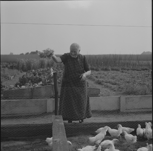 1794 Onbekend. Boerin voert haar kippen., 1960-01-01