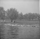 2082 Zwemwedstrijden in zwembad de Lange Kolk in Den Nul bij Olst., 1960-01-01