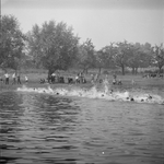 2085 Zwemwedstrijden in zwembad de Lange Kolk in Den Nul bij Olst., 1960-01-01