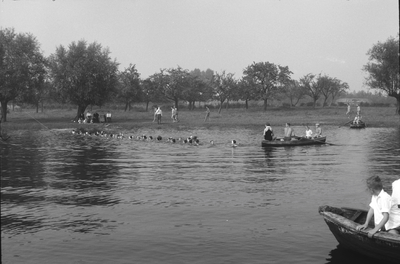 2101 Zwemwedstrijden in zwembad de Lange Kolk in Den Nul bij Olst., 1960-01-01