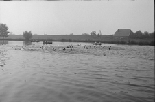 2103 Zwemwedstrijden in zwembad de Lange Kolk in Den Nul bij Olst., 1960-01-01