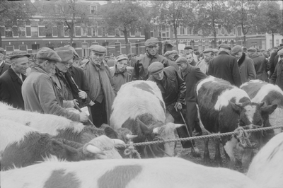 2256 Veemarkt op de Beestenmarkt. Tot aan de tweede wereldoorlog werd hier elke dinsdag een veemarkt gehouden.Van ...