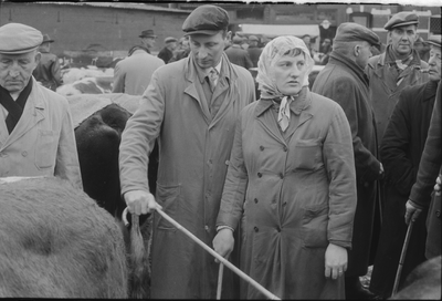 2257 Veemarkt op de Beestenmarkt. Tot aan de tweede wereldoorlog werd hier elke dinsdag een veemarkt gehouden.Van ...