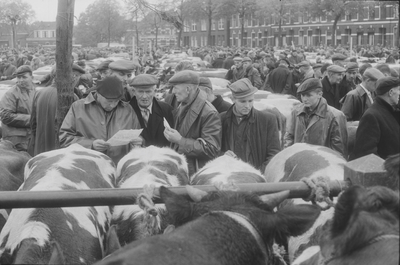 2261 Veemarkt op de Beestenmarkt. Tot aan de tweede wereldoorlog werd hier elke dinsdag een veemarkt gehouden.Van ...