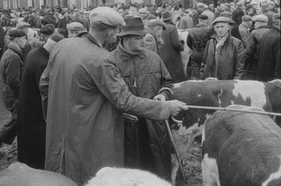 2264 Veemarkt op de Beestenmarkt. Tot aan de tweede wereldoorlog werd hier elke dinsdag een veemarkt gehouden.Van ...