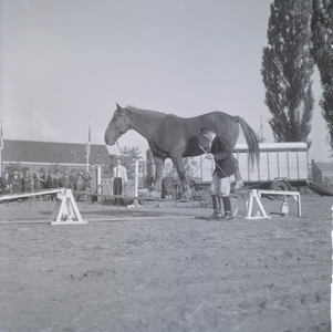 343 Koorddansend paard op het kazerneterrein van de Boreel aan de Pikeursbaan., 1961-01-01