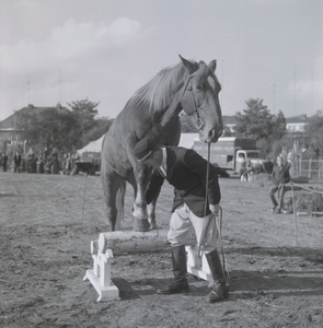 347 Kazerneterrein van de Boreel aan de Pikeursbaan. Evenement met paardendressuur., 1961-01-01