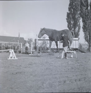 348 Kazerneterrein van de Boreel aan de Pikeursbaan. Evenement met paardendressuur., 1961-01-01