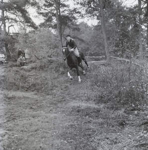 362 Ruiter op paard in bos. Onbekend, 1961-01-01