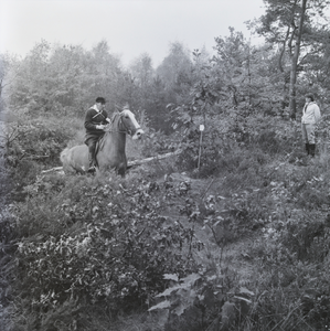 363 Ruiter op paard in bos. Onbekend, 1961-01-01