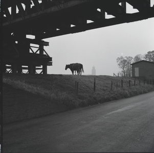 364 Gezicht op de Deventer Toren vanaf de Lage Steenweg onder de Spoorbrug, met paarden., 1961-01-01