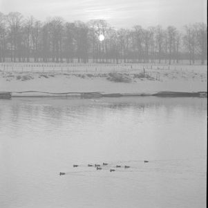 464 Gezicht op de IJssel en overkant het plantsoen op de Worp vanaf de Welle, 1961-01-01