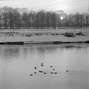 465 Gezicht op de IJssel en overkant het plantsoen op de Worp vanaf de Welle, 1961-01-01