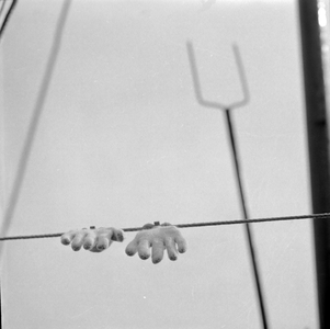 578 Handschoenen hangen te drogen aan lijn op dek van schip aan het Pothoofd., 1961-01-01