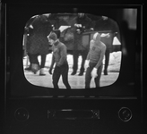 979 Europese schaatskampioenschappen Allround op 22 en 23 januari 1966 te Deventer. Televisiebeelden van Ard Schenk ...