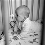 990 Baby, onbekend., 1961-01-01