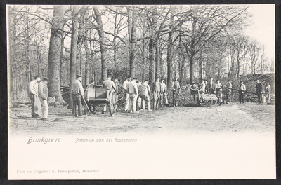 951 Patiënten aan het houtkappen op het terrein of in de bossen van Brinkgreven. , 1920-01-01