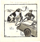 CMO11001-005 Boer tankt bij koe die kop in de grond steektIllustratie bij artikel in het Noordhollands Dagblad van 30 ...