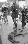 RJ000001083 Edam, Foto 1/5: Een agent van de rijkspolitie staat bij één van de zojuist afgeschoten herdershonden die ...
