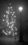 RJ000001119 December 1976EdamFoto 2/2: In de sfeervolle avondmist branden lichtjes in de kerstboom op de Dam tegenover ...